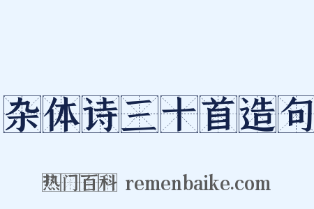 杂体诗三十首造句是什么意思的图片